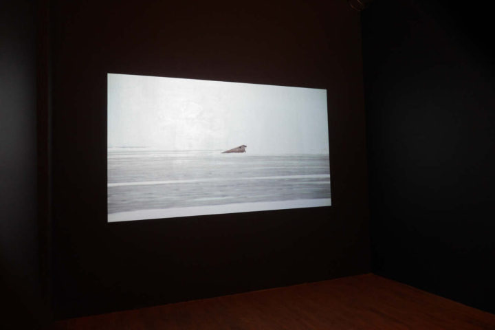 Marco G. Ferrari, Aspect/Ratio Gallery, Chicago, IL, US, 2015. Installation view of Resti, 2014.