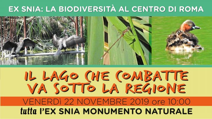 il-lago-che-combatte-va-sotto-la-regione-lazio_forum-parco-energie-roma-lago-bullicante-ex-snia_2019_poster
