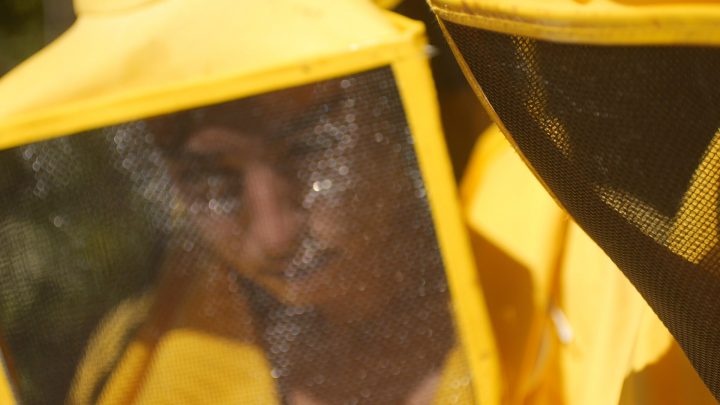 Le api del lago Bullicante ExSnia (per una scena di Porta Maggiore), 2018. Video frame.
