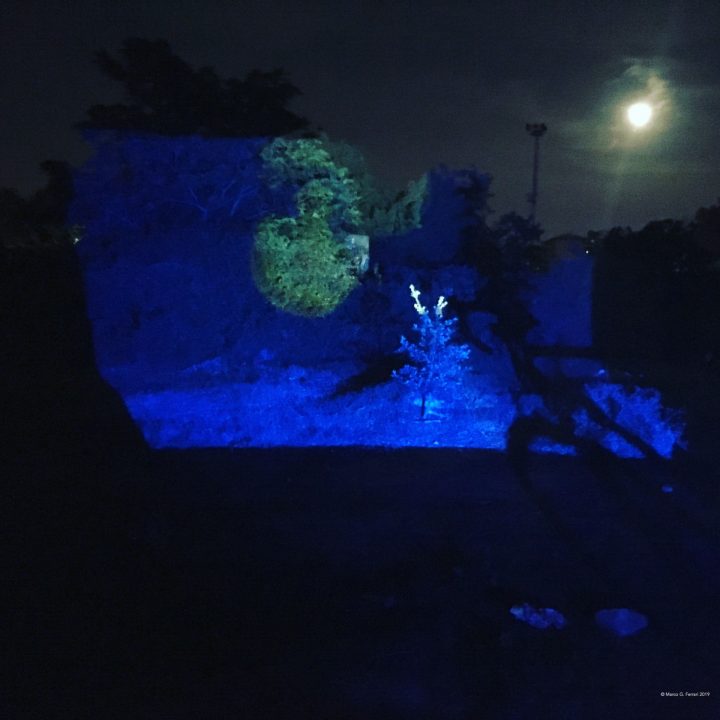 Meduse (per una scena di Porta Maggiore): Proiezione notturna estranea n. 2; Nella prateria del Lago Bullicante Ex Snia